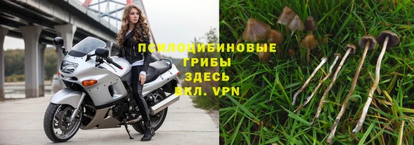 spice Бугульма