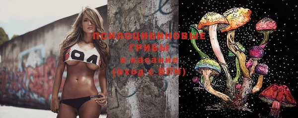 spice Бугульма