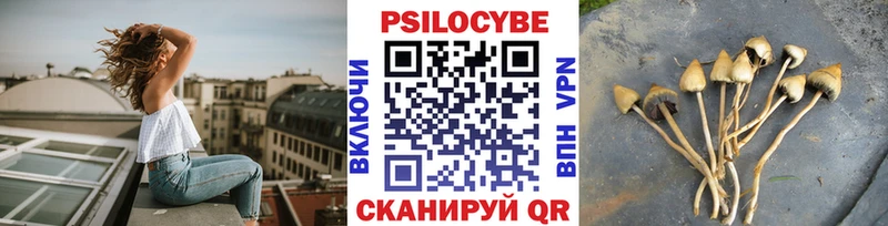 купить  сайты  Вилюйск  Галлюциногенные грибы мицелий 